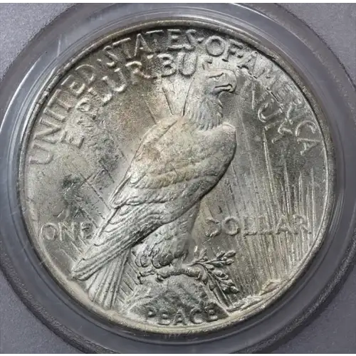 1923 $1 (5)