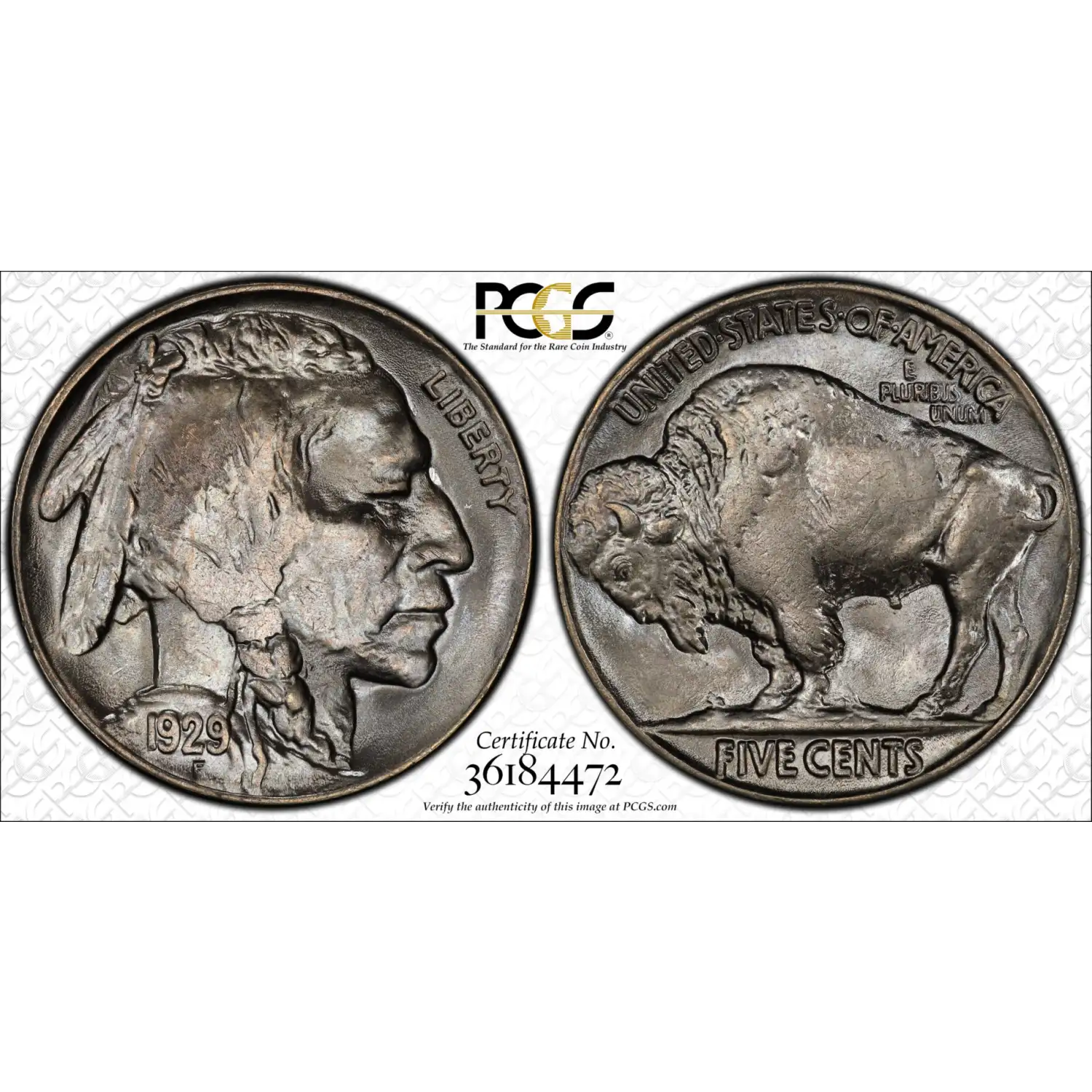 1929 Buffalo Nickel PCGS MS-66
