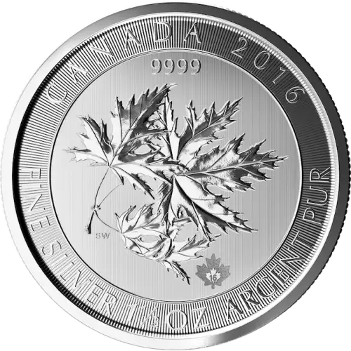 2016 1.5oz Canadian Silver Maple Leaves (2)