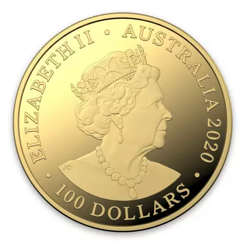 2020 1oz Spinner Dolphin Gold Coin (3)