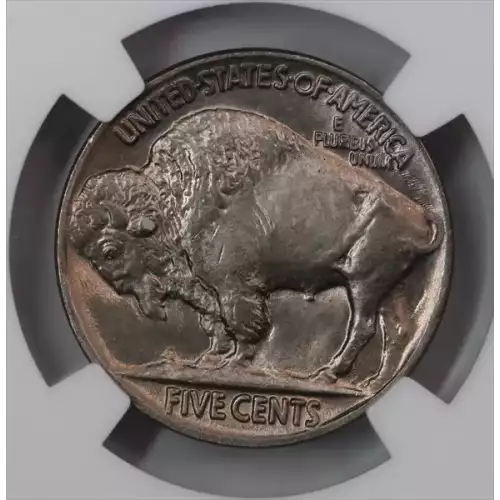 Nickel Five Cent Pieces-Indian Head or Buffalo (3)