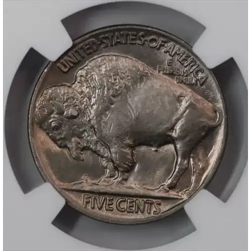 Nickel Five Cent Pieces-Indian Head or Buffalo (3)