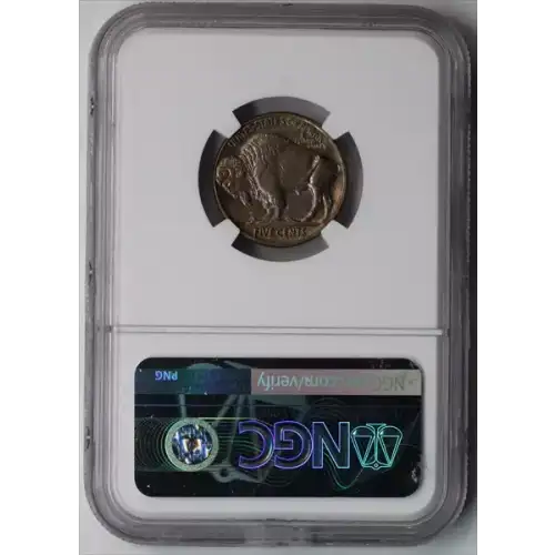 Nickel Five Cent Pieces-Indian Head or Buffalo (4)