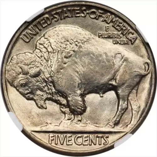 Nickel Five Cent Pieces-Indian Head or Buffalo (2)