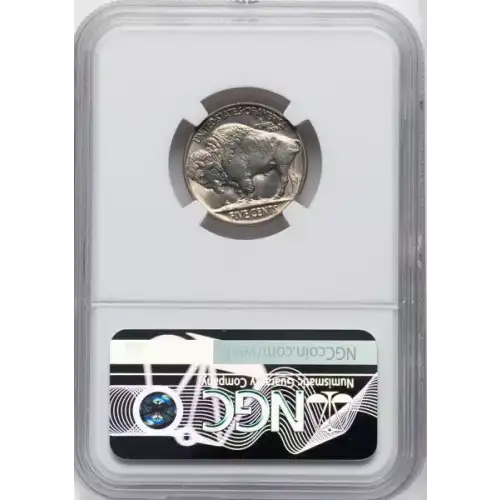 Nickel Five Cent Pieces-Indian Head or Buffalo (4)