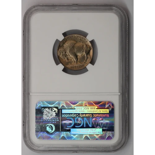 Nickel Five Cent Pieces-Indian Head or Buffalo (4)