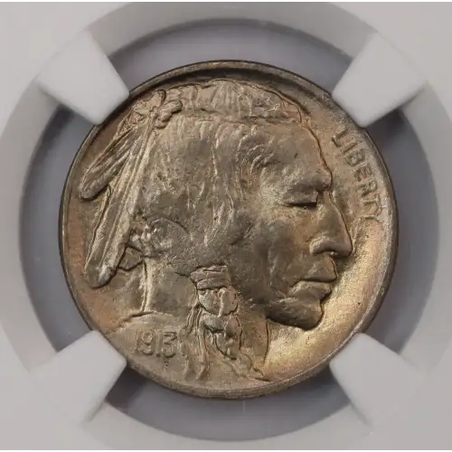 Nickel Five Cent Pieces-Indian Head or Buffalo (2)
