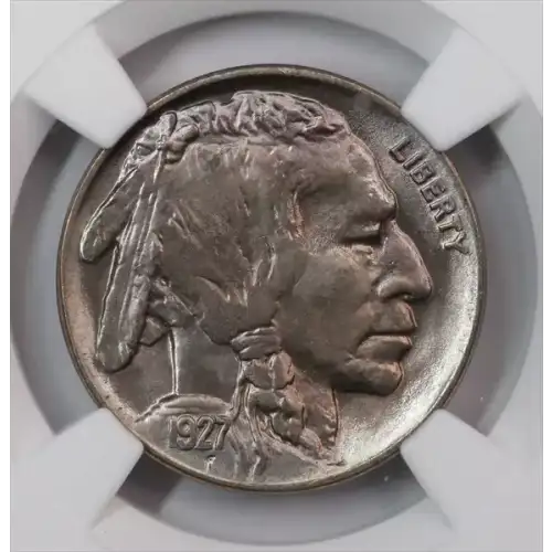 Nickel Five Cent Pieces-Indian Head or Buffalo (2)