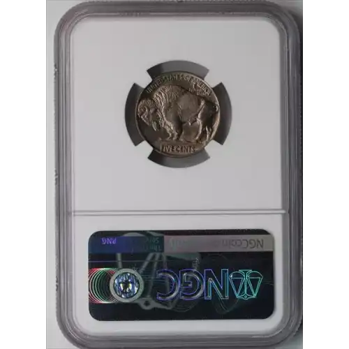 Nickel Five Cent Pieces-Indian Head or Buffalo (4)