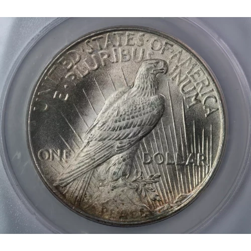 Peace Silver Dollar (2)