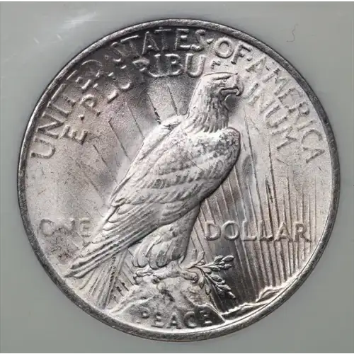 Peace Silver Dollar (2)
