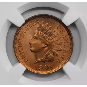 Small Cents-Indian Head 1859-1909 -Copper